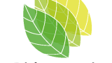 RhinoLands logo sobre texto